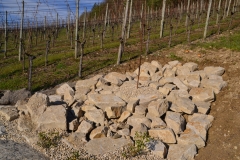 Labiola Weingut Mühlebach