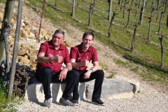 Labiola Weingut Mühlebach
